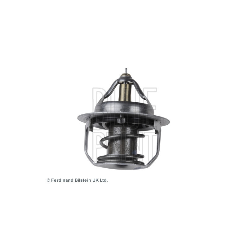 Thermostat d'eau BLUE PRINT