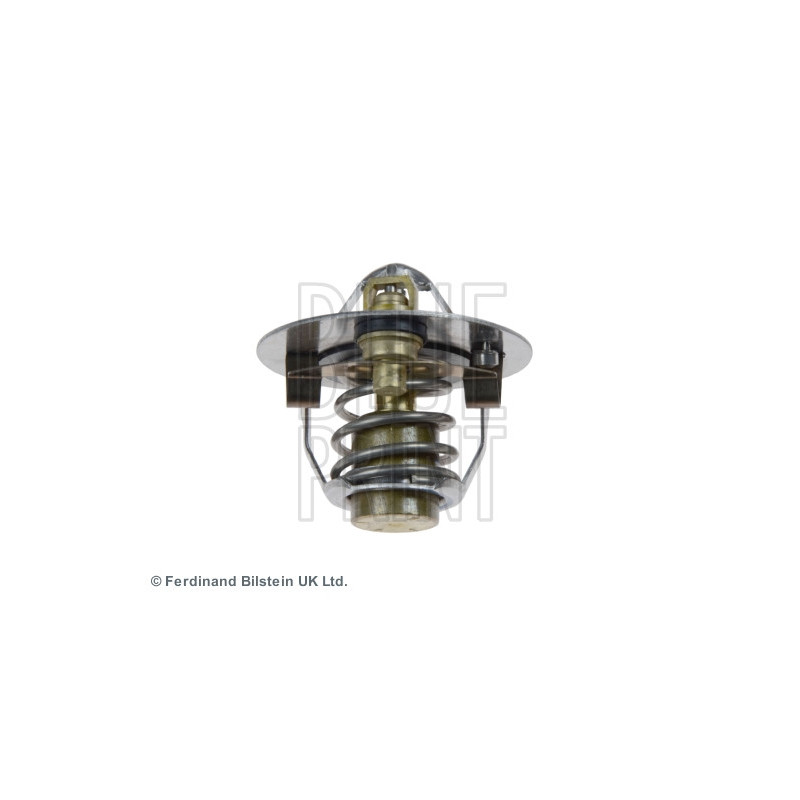 Thermostat d'eau BLUE PRINT