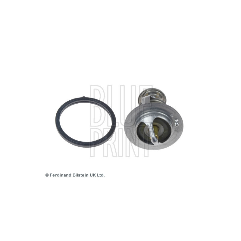 Thermostat d'eau BLUE PRINT