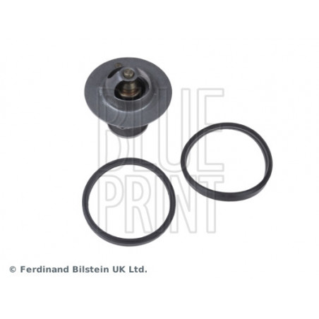 Thermostat d'eau BLUE PRINT