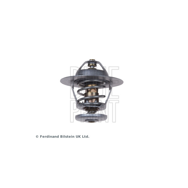 Thermostat d'eau BLUE PRINT