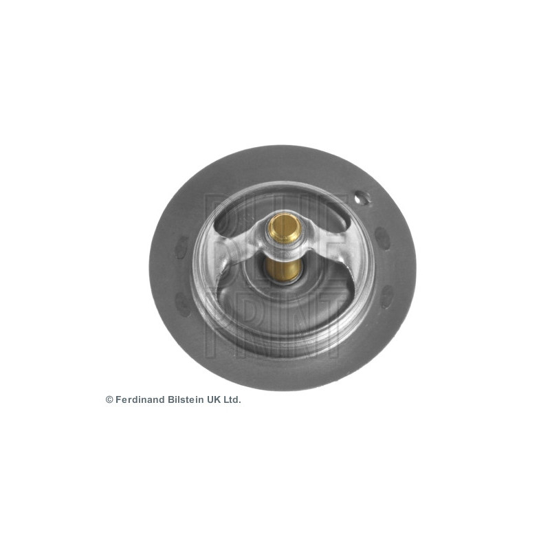 Thermostat d'eau BLUE PRINT