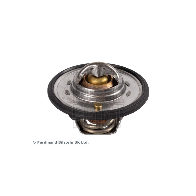 Thermostat d'eau BLUE PRINT