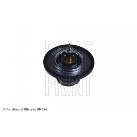 Thermostat d'eau BLUE PRINT