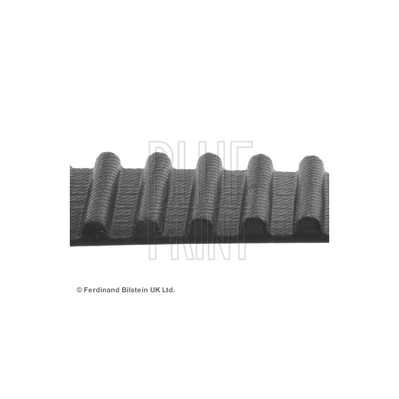 Courroie de distribution BLUE PRINT