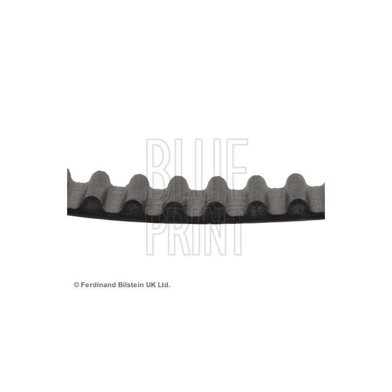 Courroie de distribution BLUE PRINT