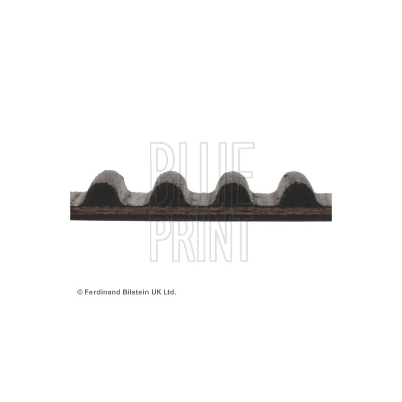 Courroie de distribution BLUE PRINT