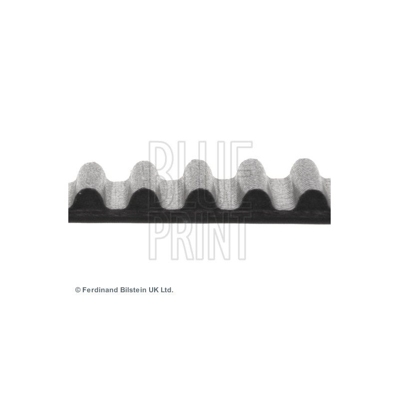 Courroie de distribution BLUE PRINT