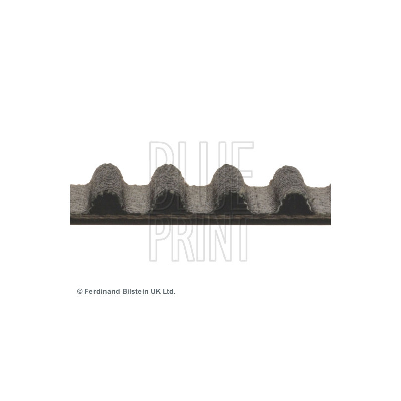 Courroie de distribution BLUE PRINT