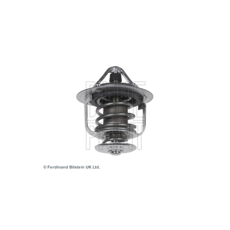 Thermostat d'eau BLUE PRINT