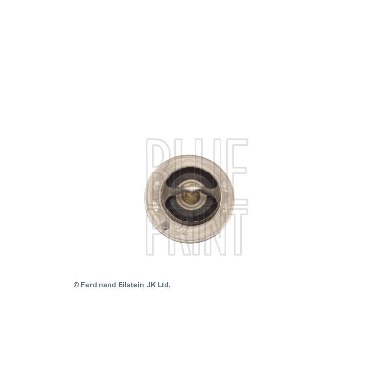 Thermostat d'eau BLUE PRINT