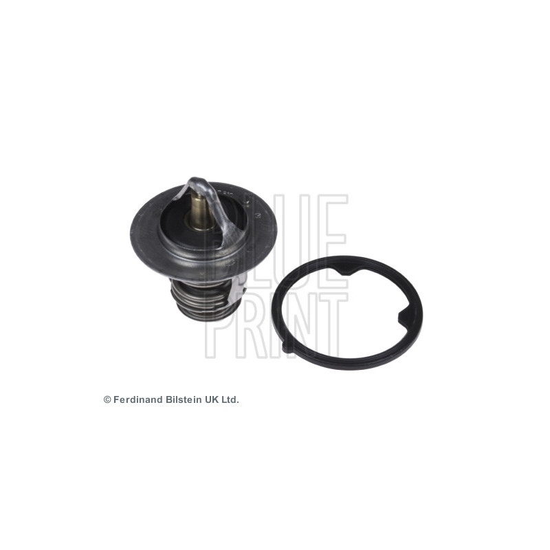 Thermostat d'eau BLUE PRINT