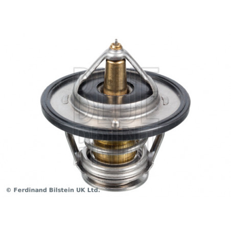 Thermostat d'eau BLUE PRINT