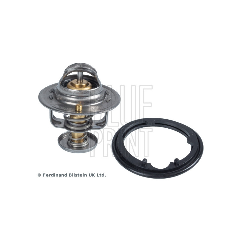 Thermostat d'eau BLUE PRINT