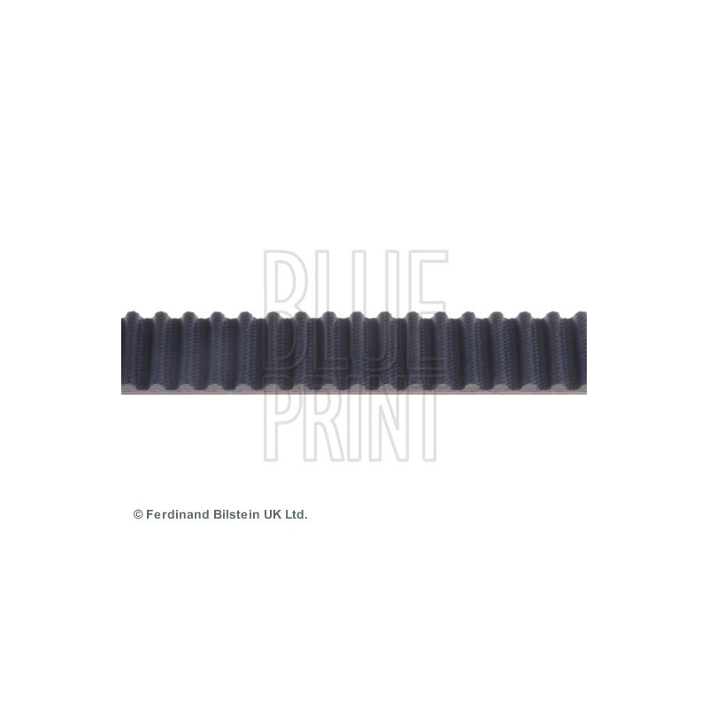 Courroie de distribution BLUE PRINT
