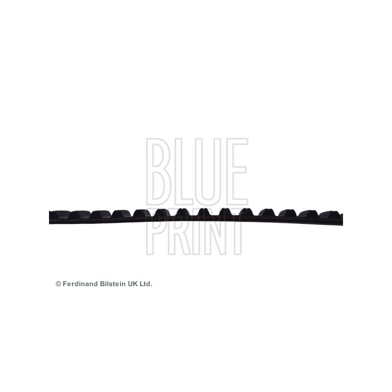 Courroie de distribution BLUE PRINT