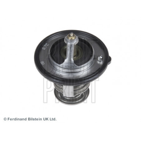 Thermostat d'eau BLUE PRINT