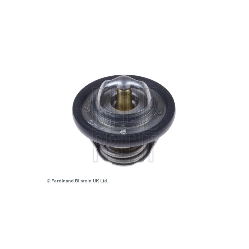 Thermostat d'eau BLUE PRINT