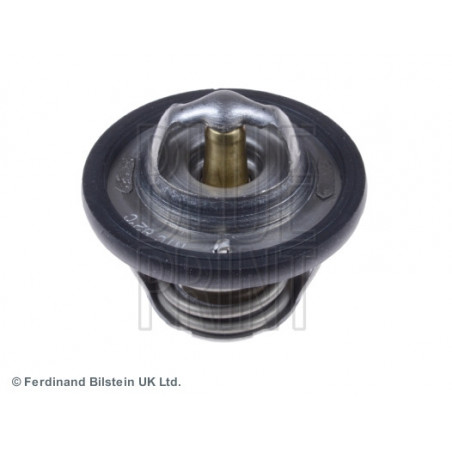 Thermostat d'eau BLUE PRINT