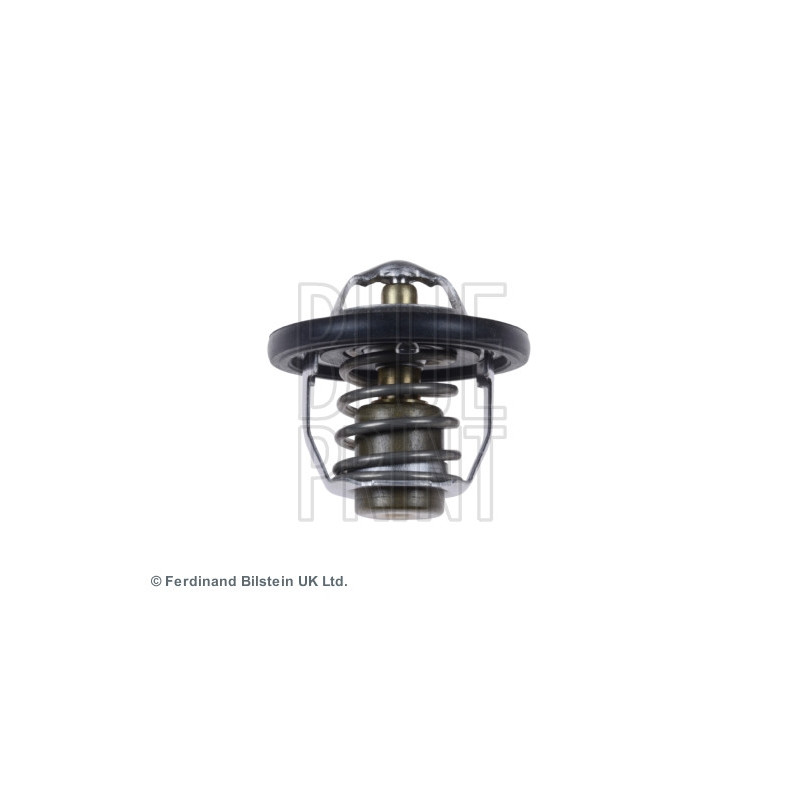 Thermostat d'eau BLUE PRINT