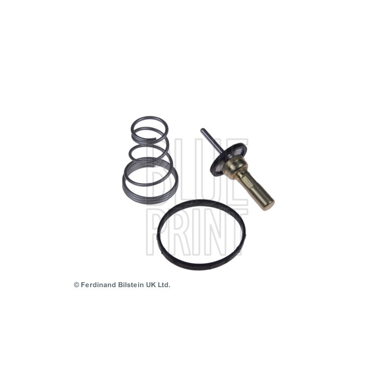 Thermostat d'eau BLUE PRINT