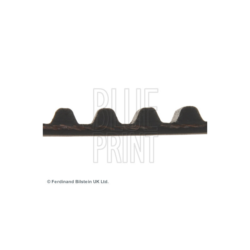 Courroie de distribution BLUE PRINT