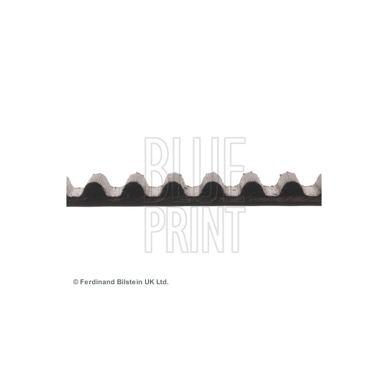 Courroie de distribution BLUE PRINT
