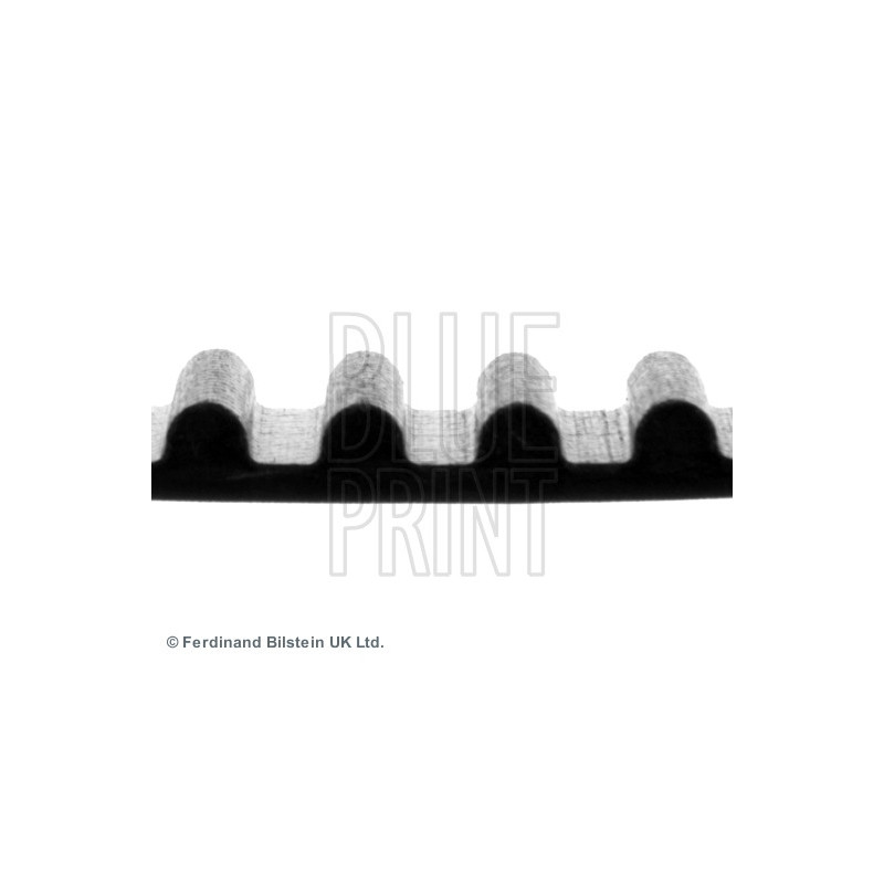 Courroie de distribution BLUE PRINT