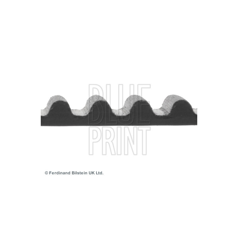 Courroie de distribution BLUE PRINT