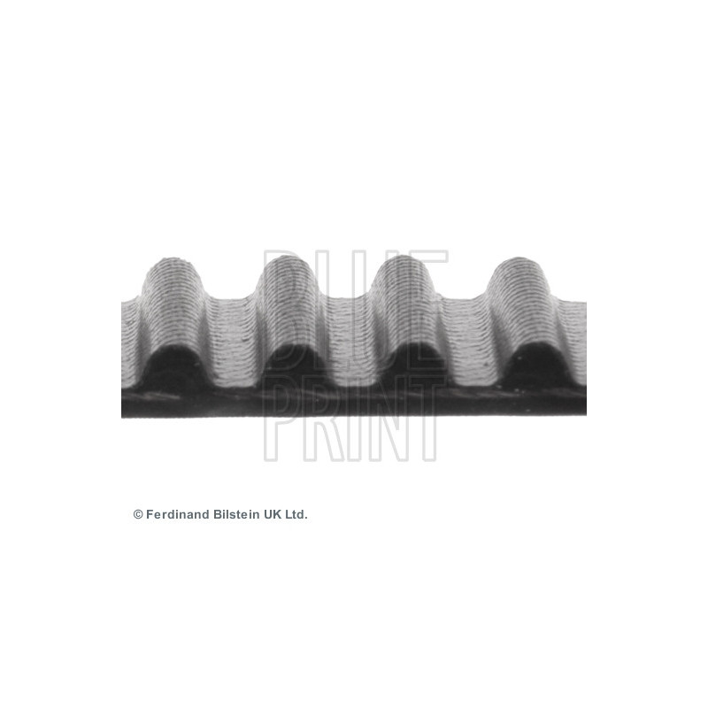 Courroie de distribution BLUE PRINT