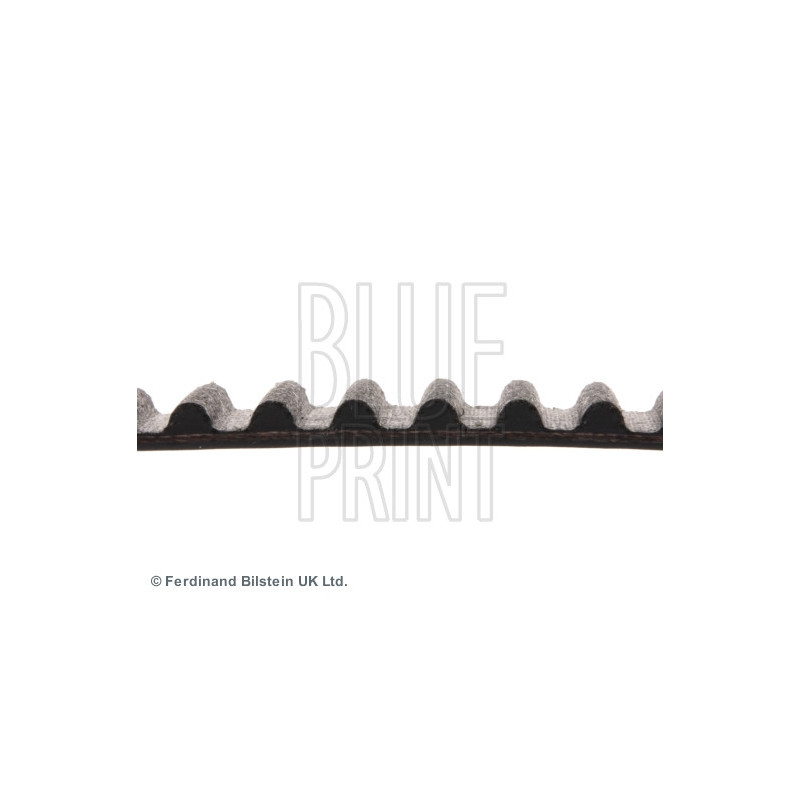 Courroie de distribution BLUE PRINT