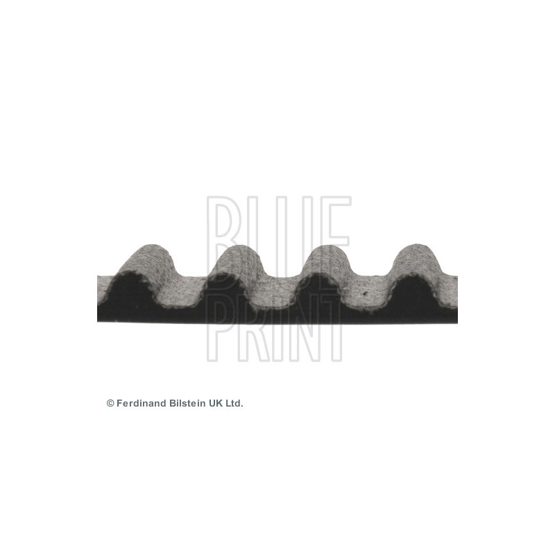 Courroie de distribution BLUE PRINT