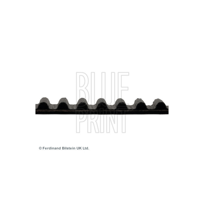 Courroie de distribution BLUE PRINT