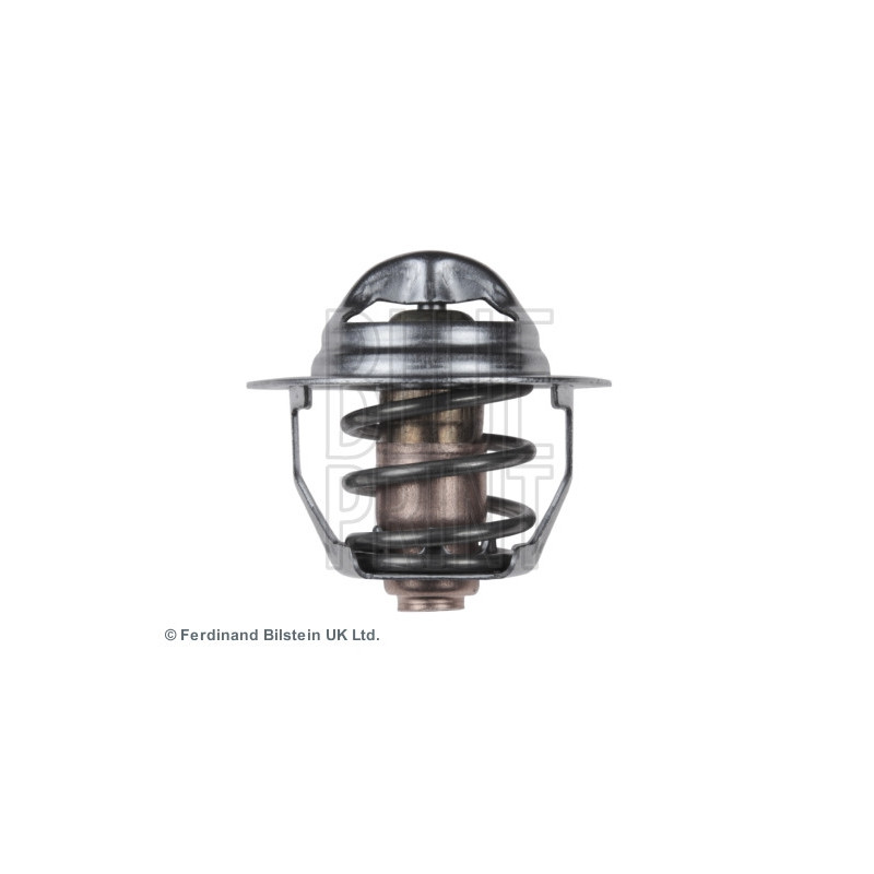 Thermostat d'eau BLUE PRINT