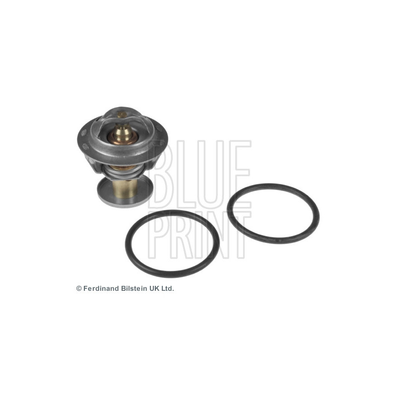 Thermostat d'eau BLUE PRINT
