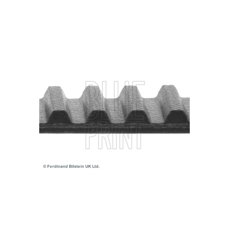 Courroie de distribution BLUE PRINT