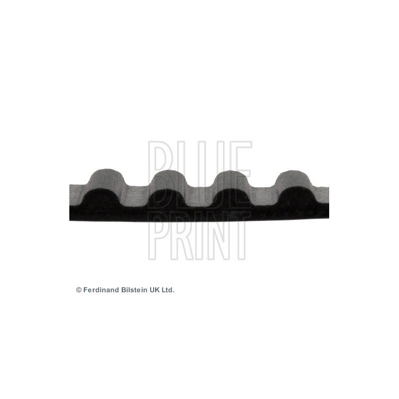 Courroie de distribution BLUE PRINT