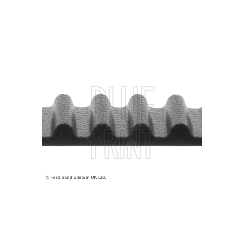 Courroie de distribution BLUE PRINT