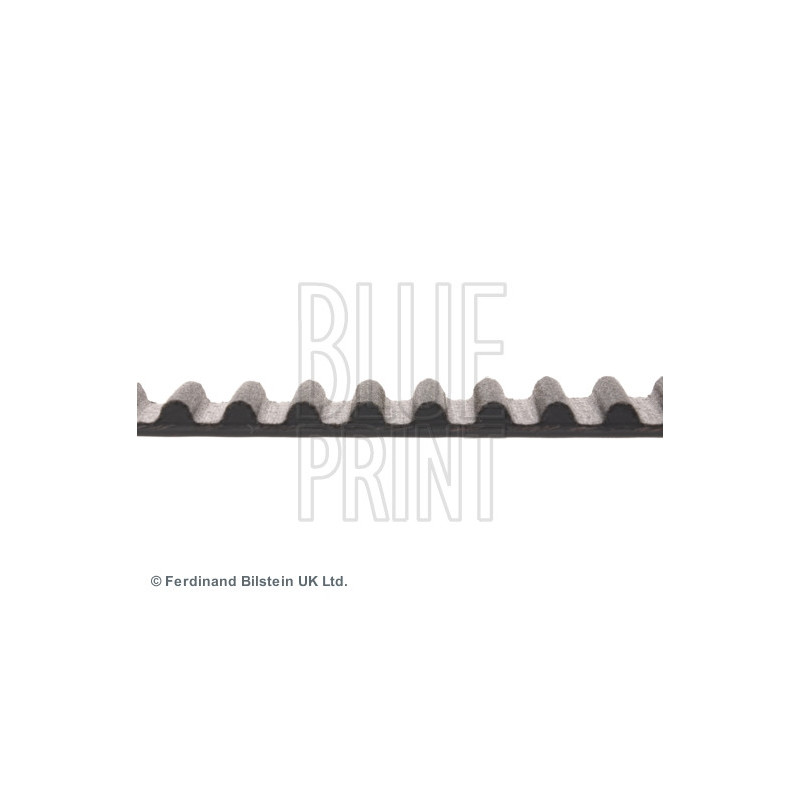Courroie de distribution BLUE PRINT