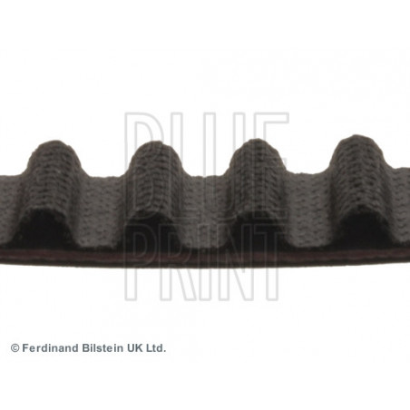 Courroie de distribution BLUE PRINT