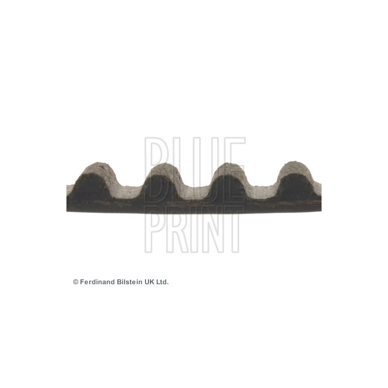 Courroie de distribution BLUE PRINT
