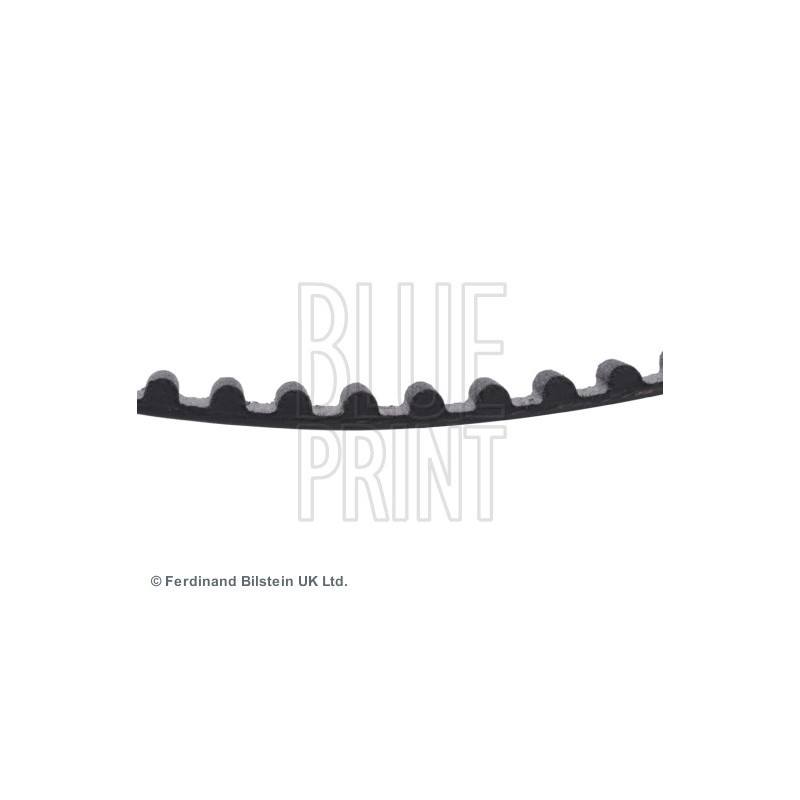 Courroie de distribution BLUE PRINT