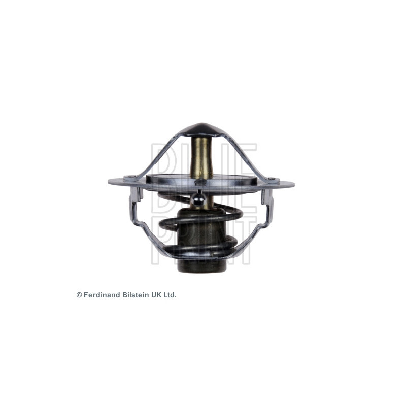 Thermostat d'eau BLUE PRINT