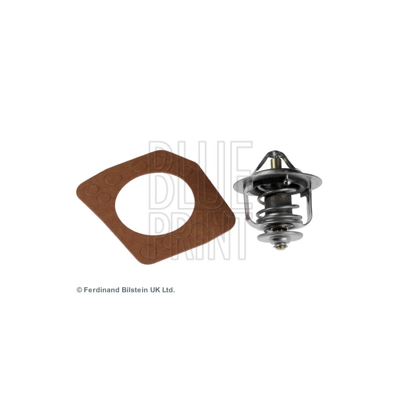 Thermostat d'eau BLUE PRINT