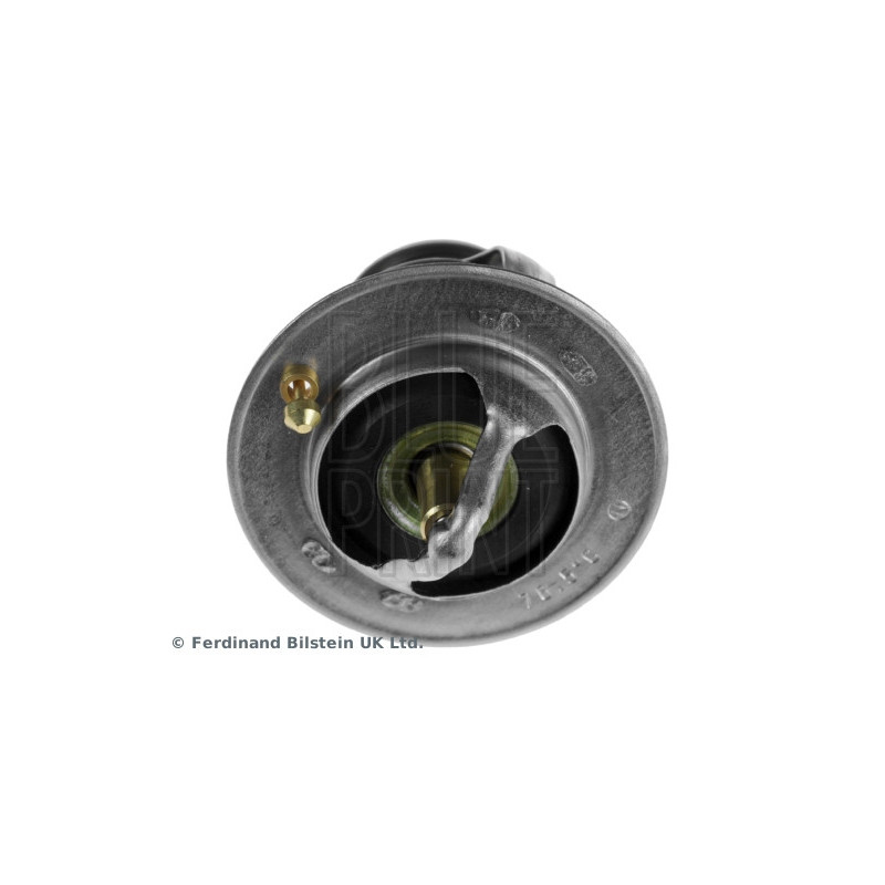 Thermostat d'eau BLUE PRINT