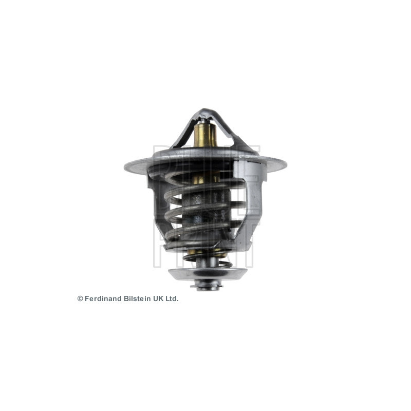 Thermostat d'eau BLUE PRINT