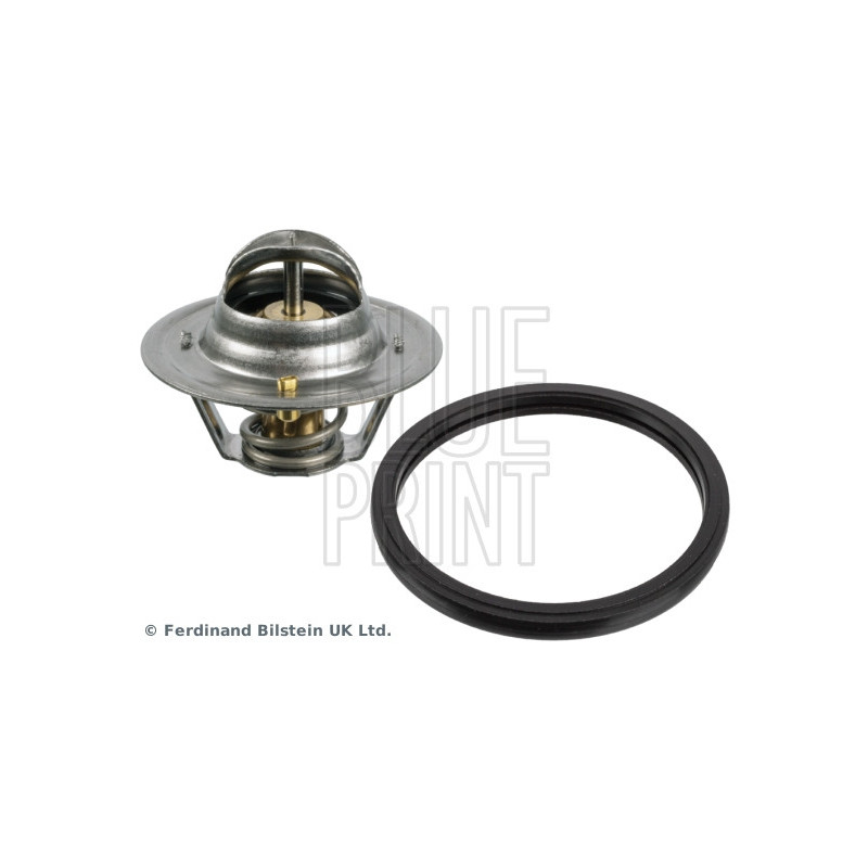 Thermostat d'eau BLUE PRINT