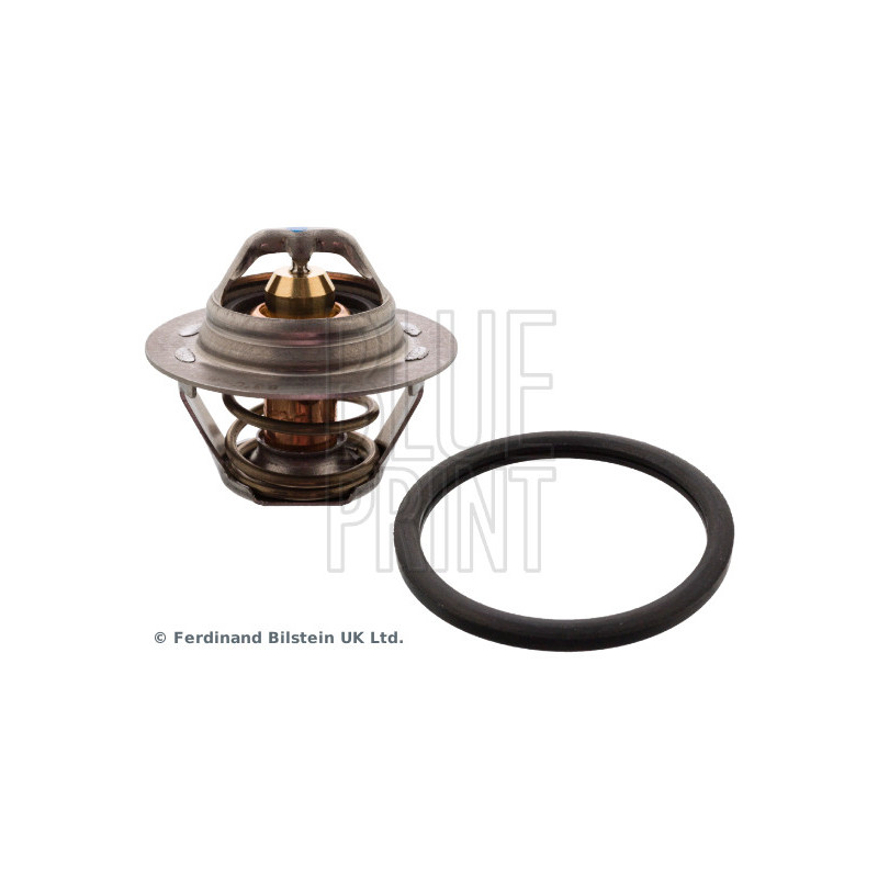 Thermostat d'eau BLUE PRINT