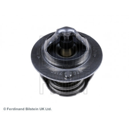 Thermostat d'eau BLUE PRINT