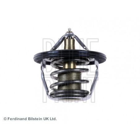 Thermostat d'eau BLUE PRINT